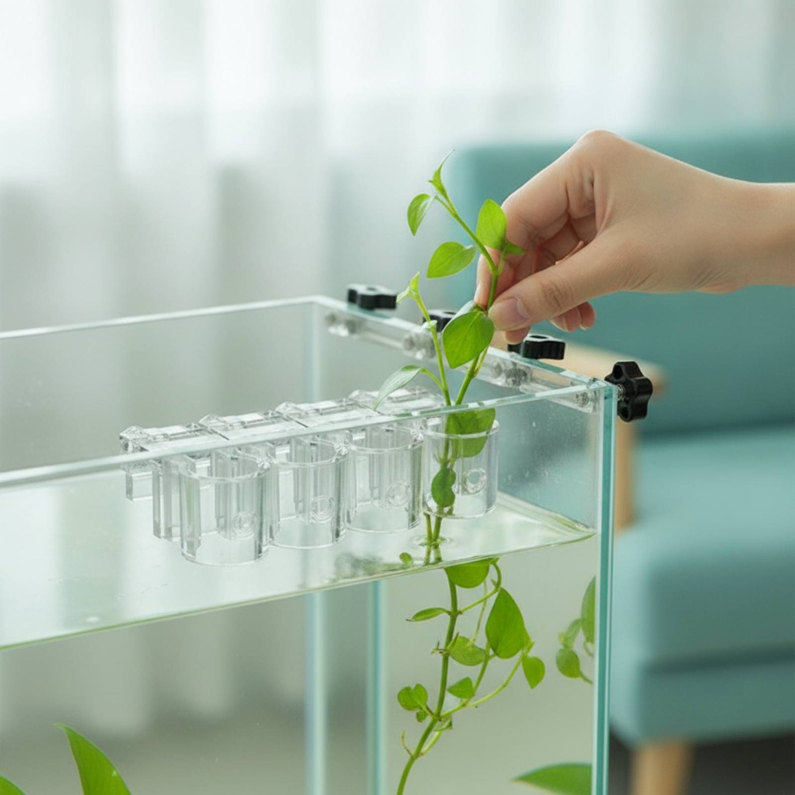 Aquarium Plants - 6 Piezas de Soportes Transparentes para