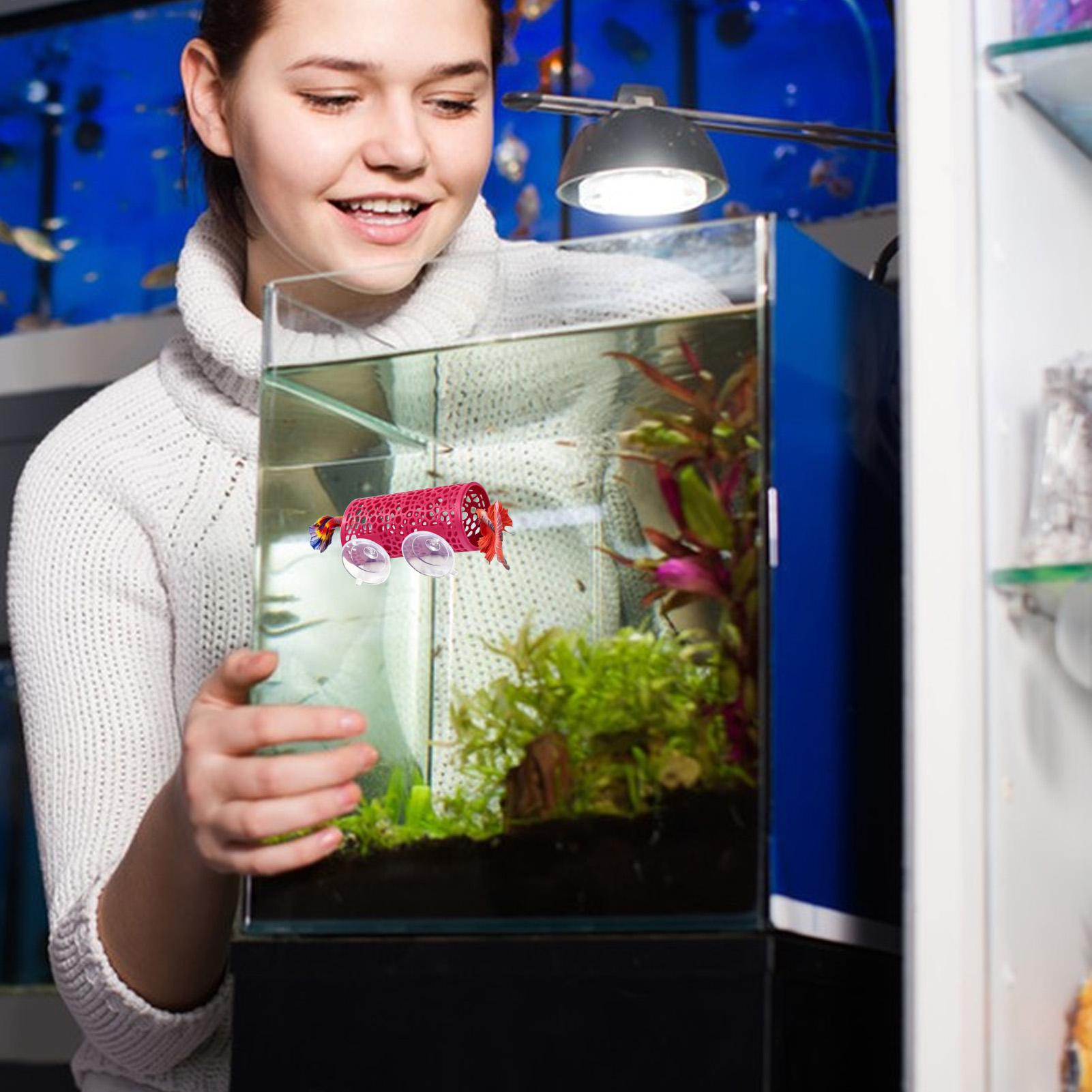 Betta Fish Tank - Habitat para Bettas, Refugio, Adorno, Túnel
