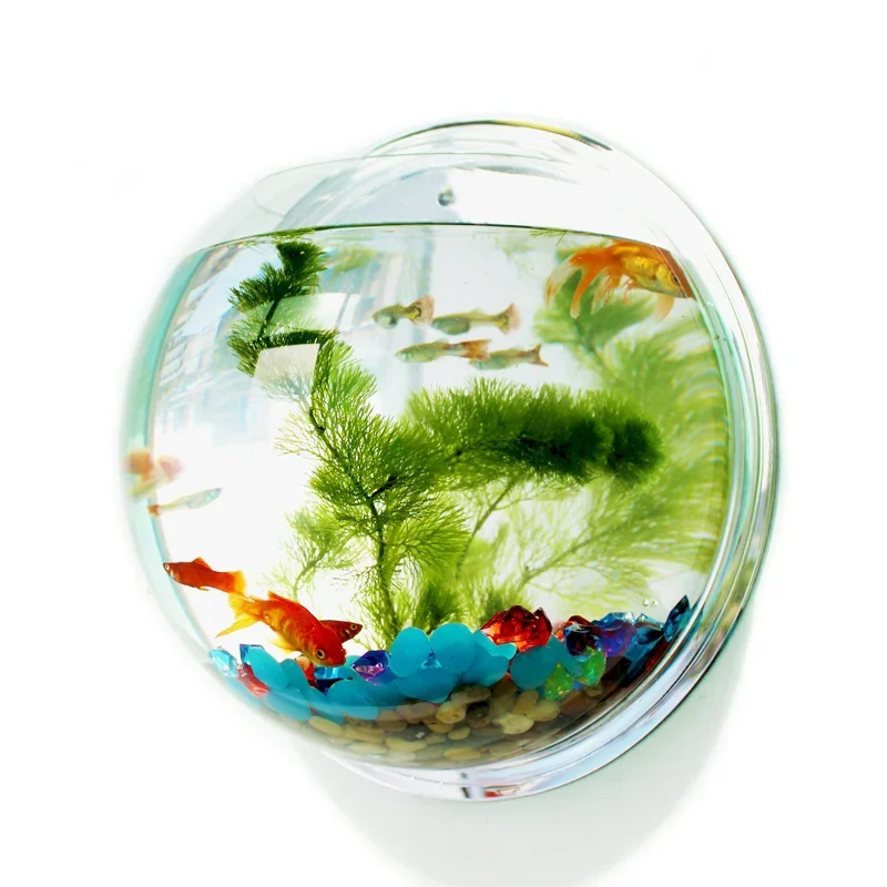 Betta Fish Tank - Pinsjar-cuenco de pescado acrílico para colgar