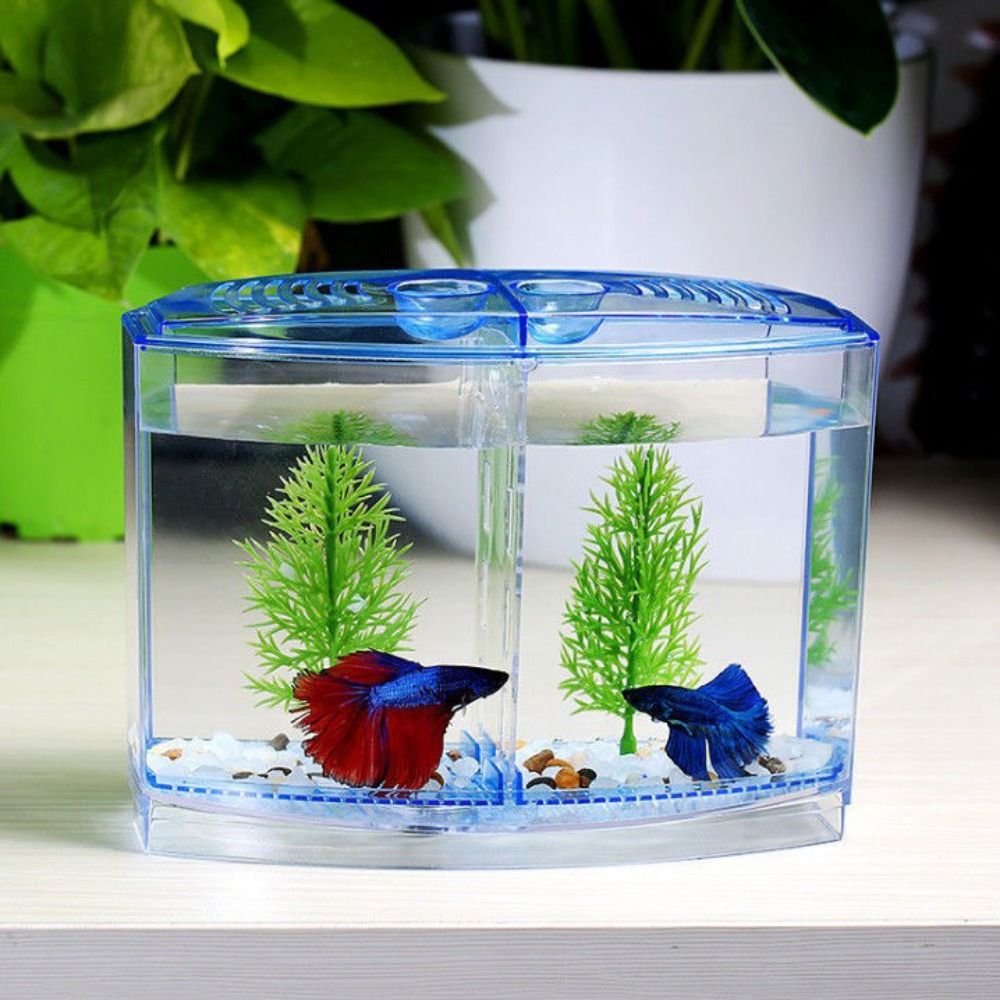 Betta Fish Tank - Pecera transparente Betta, acuario Guppy de