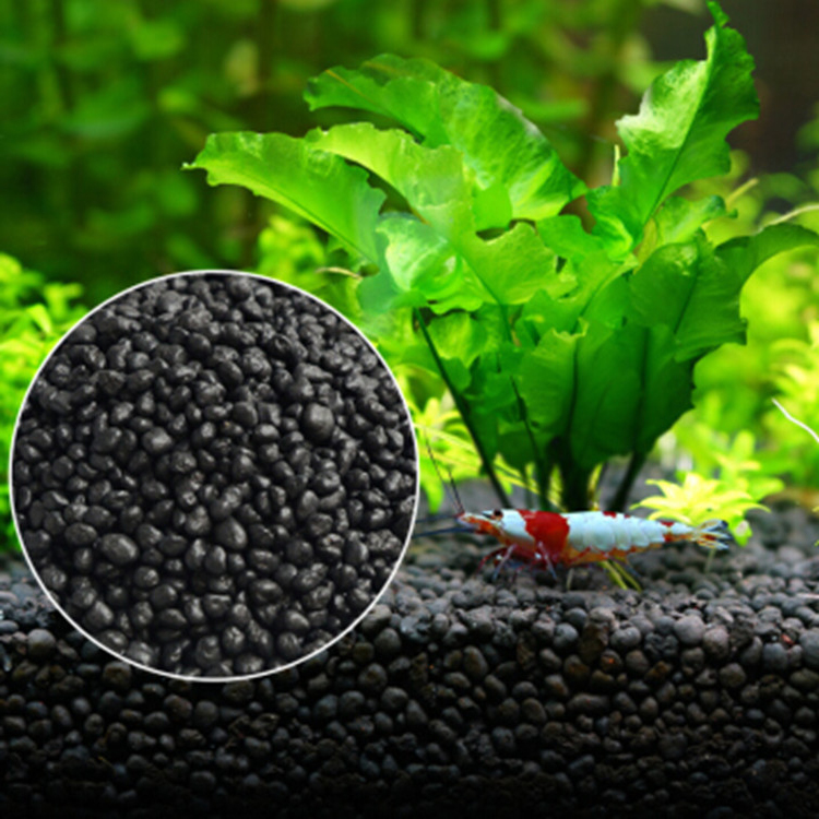 Fish Tank Gravel - Semillas de plantas de Acuario, sustrato