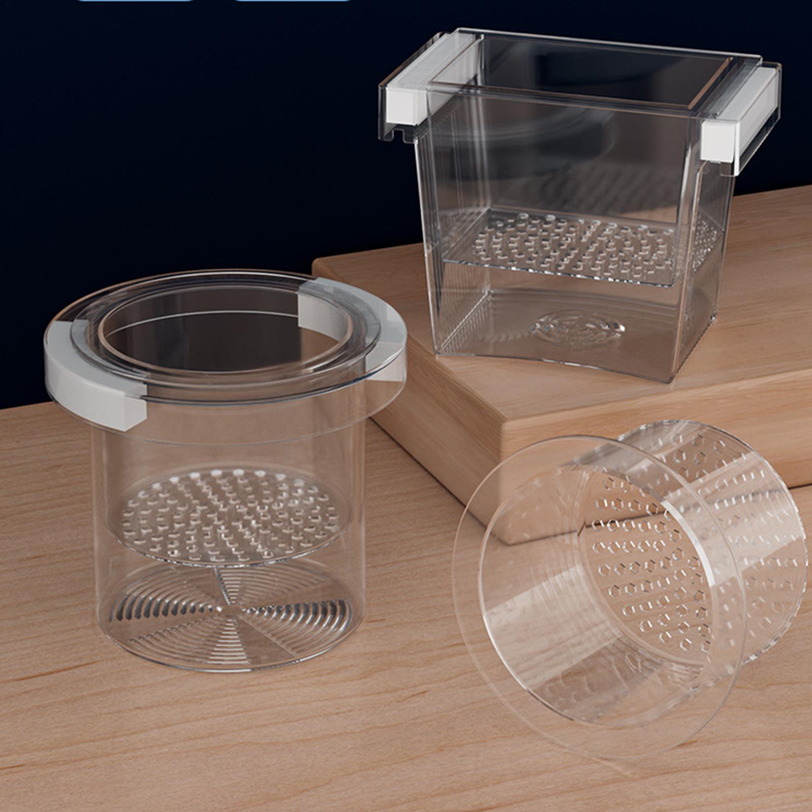 Caja de Aislamiento Flotante p - Betta Fish Tank reseña y precio