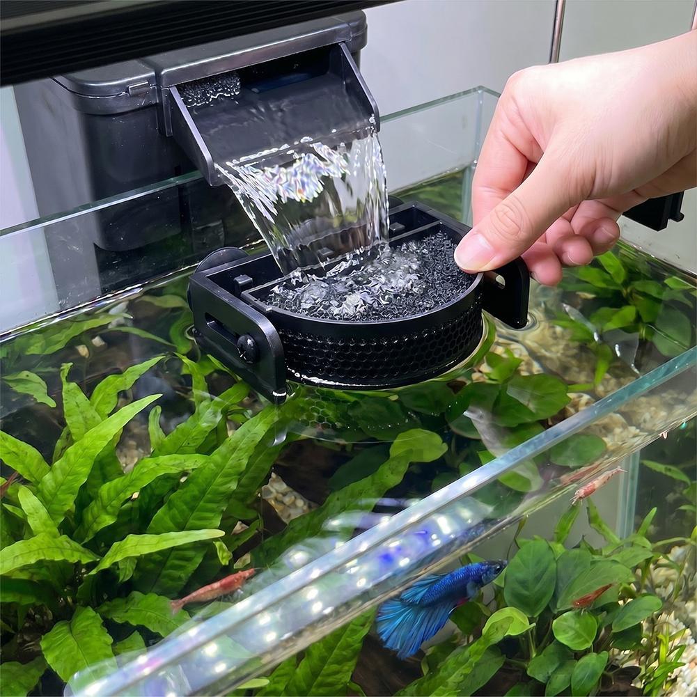   Deflector de Filtro Premiu - Betta Fish Tank reseña y precio