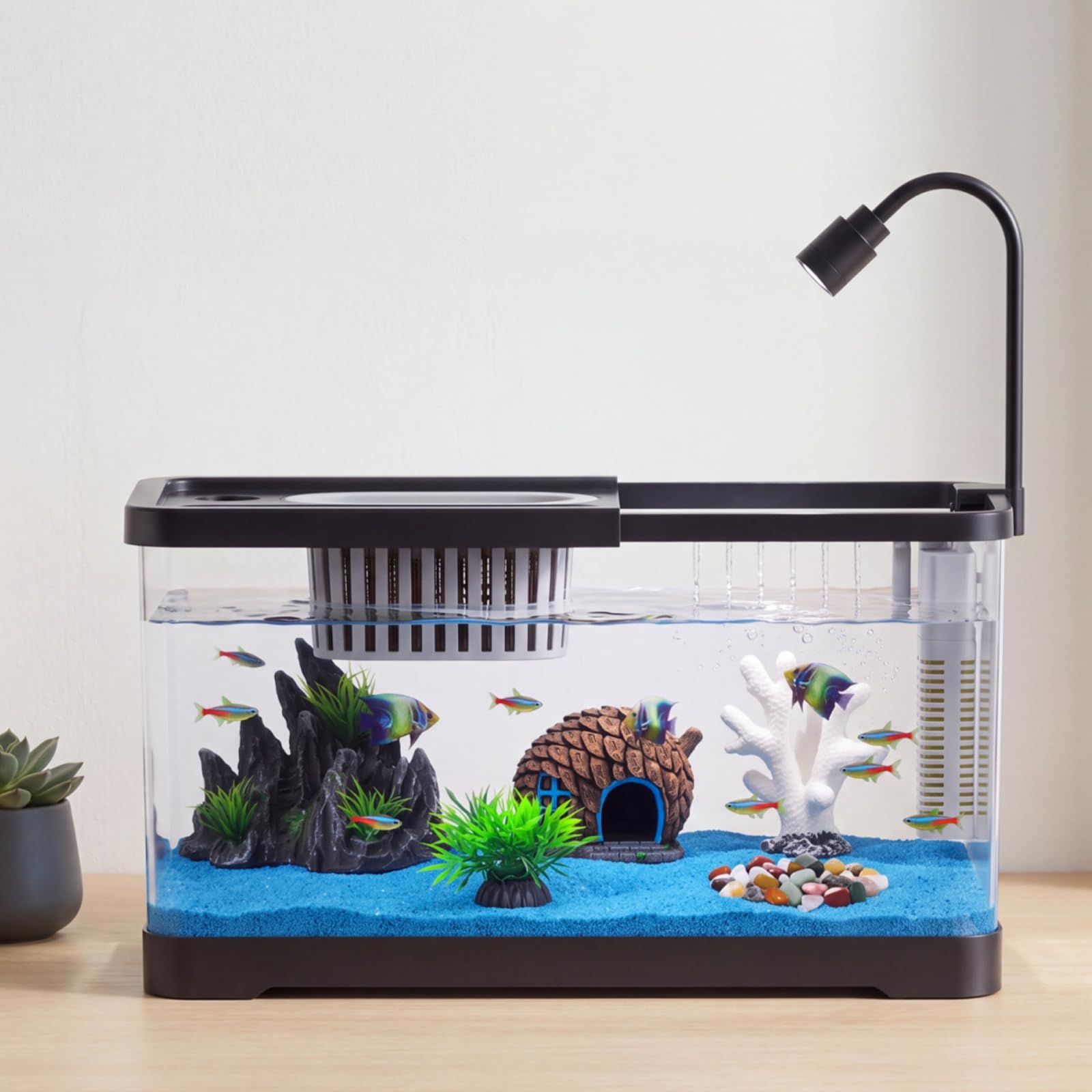 Kit de Inicio para Pecera con  - Betta Fish Tank reseña y precio