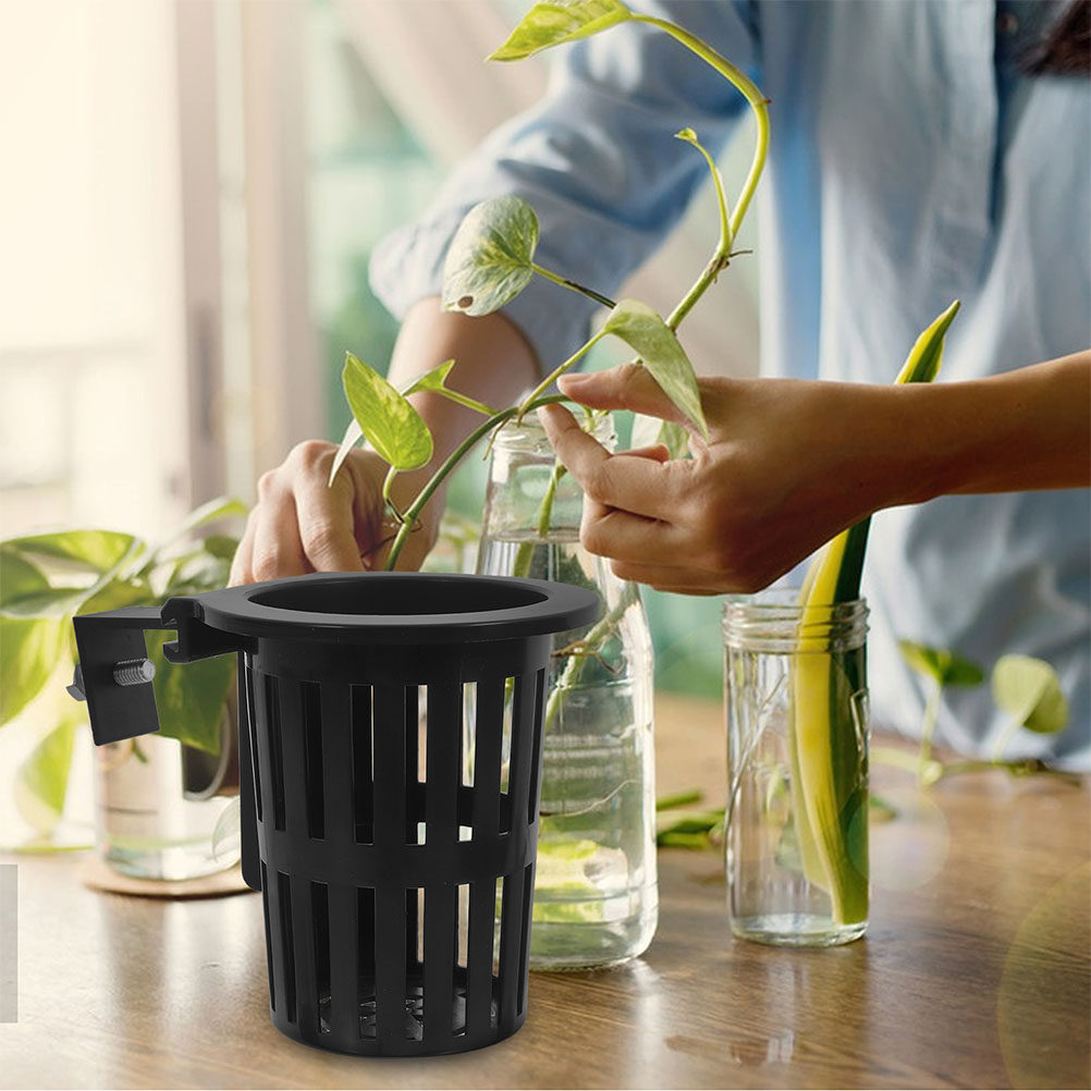 6 unidades de cestas para cult - Aquarium Plants reseña y precio