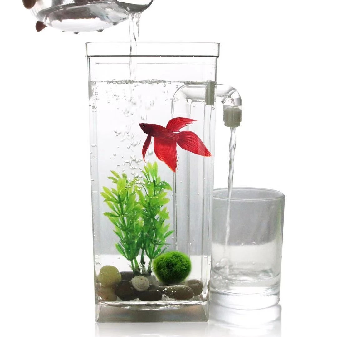 Tanque de peces de escritorio  - Betta Fish Tank reseña y precio