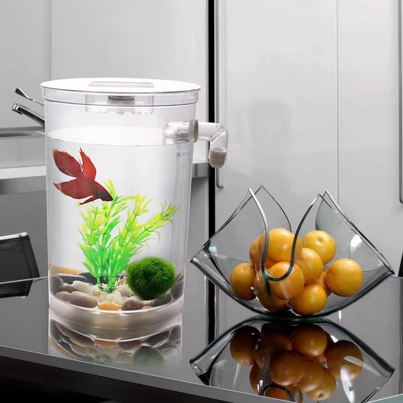 Tanque de peces de escritorio  - Betta Fish Tank reseña y precio
