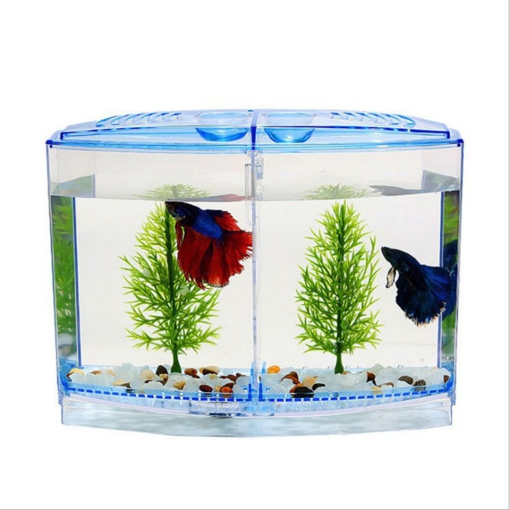 Pecera transparente Betta, acu - Betta Fish Tank reseña y precio