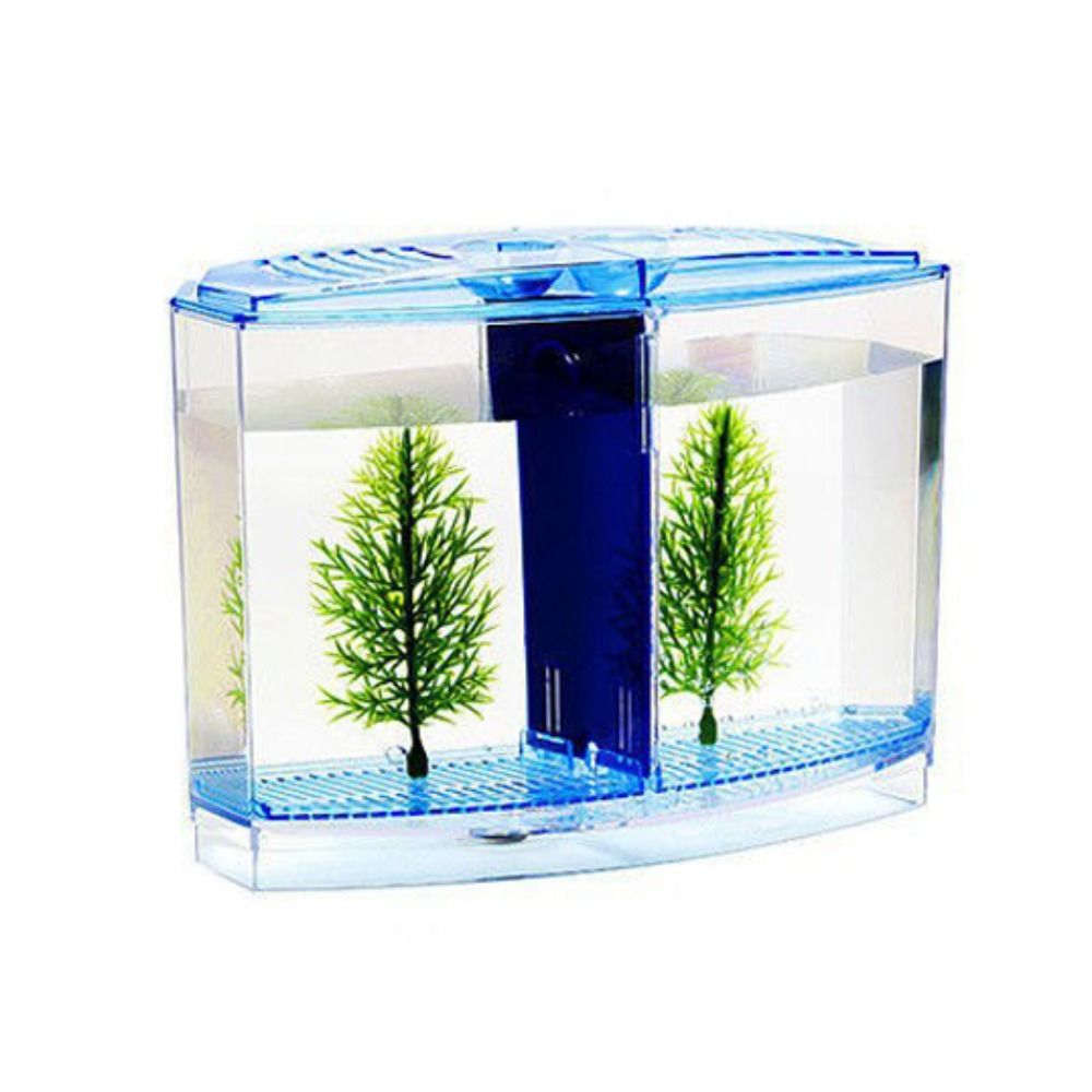 Pecera transparente Betta, acu - Betta Fish Tank reseña y precio