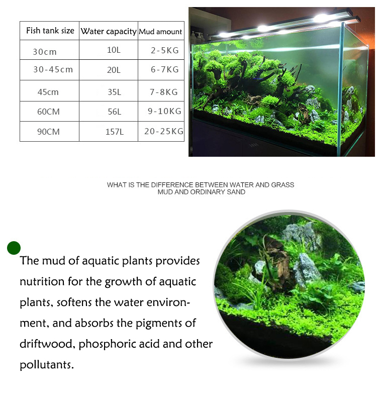 Semillas de plantas de Acuario - Fish Tank Gravel reseña y precio